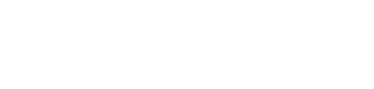 Первая Портовая компания