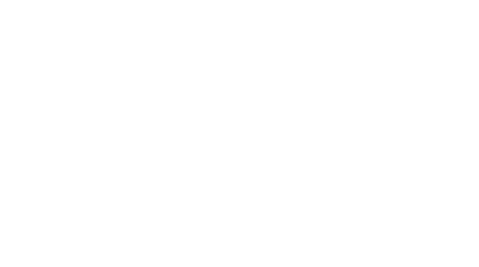 HANSA